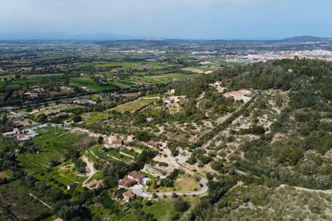 Finca i Manacor, Mallorca, Manacor - € 1.245.000 | Ref: 74972 - foto 3