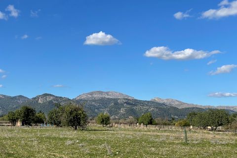Terra a Moscari, Mallorca, Moscari - € 519.000 | Ref: 83024 - foto 2
