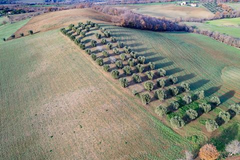 Villa i Manciano, Grosseto, Manciano - € 780.000 | Ref: 122 - foto 12