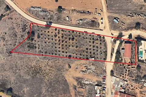 Farm i Silves, Faro, Silves - € 389.000 | Ref: NU_5897 - foto 7