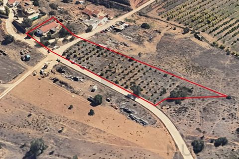 Farm i Silves, Faro, Silves - € 389.000 | Ref: NU_5897 - foto 8