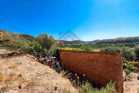 Farm i Silves, Faro, Silves - € 389.000 | Ref: NU_5897 - foto 18