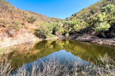 Farm i Silves, Faro, Silves - € 389.000 | Ref: NU_5897 - foto 31