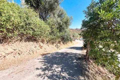 Farm i Silves, Faro, Silves - € 389.000 | Ref: NU_5897 - foto 33