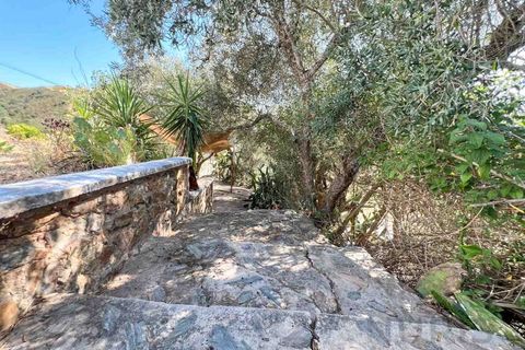 Farm i Silves, Faro, Silves - € 389.000 | Ref: NU_5897 - foto 47