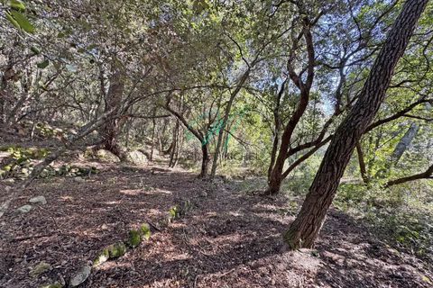 Helårsgrund i Le Rouret, Alpes-Maritimes, Le Rouret - € 195.000 | Ref: 85611485 - foto 4