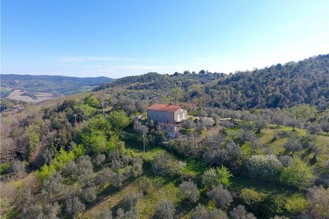 Villa a Collazzone, Perugia, Collazzone - € 180.000 | Ref: VCR139 - foto 3