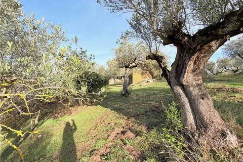 Villa a Collazzone, Perugia, Collazzone - € 180.000 | Ref: VCR139 - foto 7