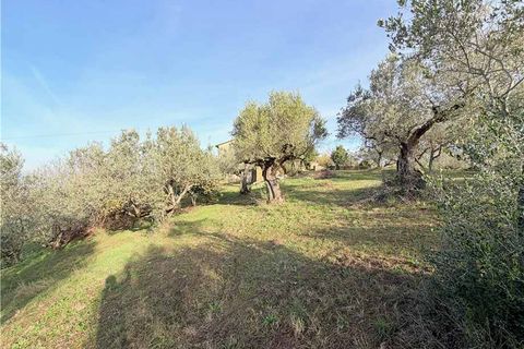 Villa a Collazzone, Perugia, Collazzone - € 180.000 | Ref: VCR139 - foto 8