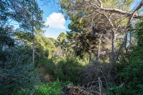 Tomt i Capdepera, Mallorca, Capdepera - € 215 000 | Ref: 15AHTM005/3010 - foto 6