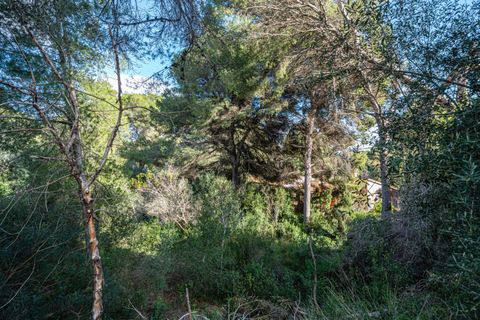 Tomt i Capdepera, Mallorca, Capdepera - € 215 000 | Ref: 15AHTM005/3010 - foto 9