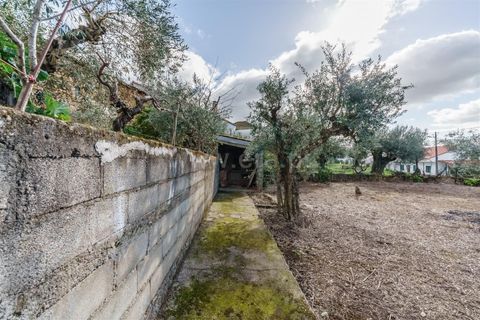 Villa i Fundao, Castelo Branco, Fundao - € 179.000 | Ref: 255260001 - foto 38