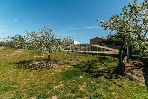 Villa i Fundao, Castelo Branco, Fundao - € 280.000 | Ref: 255260002 - foto 40