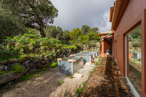 Villa a Monchique, Faro, Monchique - € 687.000 | Ref: BPA5656 - foto 40