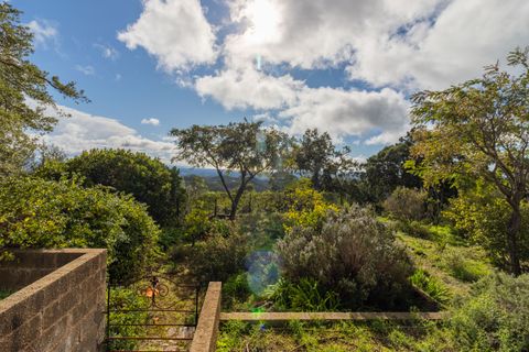 Villa a Monchique, Faro, Monchique - € 687.000 | Ref: BPA5656 - foto 48