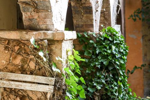 Villa i Uzes, Gard, Uzes - € 1.590.000 | Ref: HH-16031835 - foto 18