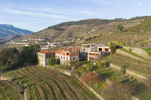 Farm i Vila Real, Vila Real, Vila Real - € 1.553.500 | Ref: ZMPT584068 - foto 2