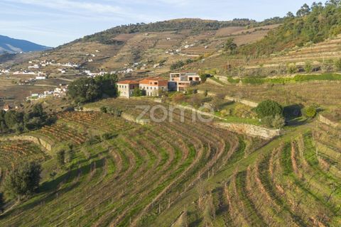 Farm i Vila Real, Vila Real, Vila Real - € 1.553.500 | Ref: ZMPT584068 - foto 4