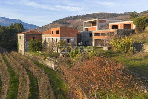 Farm i Vila Real, Vila Real, Vila Real - € 1.553.500 | Ref: ZMPT584068 - foto 6