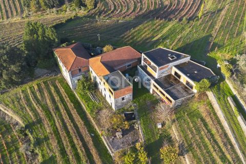 Farm i Vila Real, Vila Real, Vila Real - € 1.553.500 | Ref: ZMPT584068 - foto 8