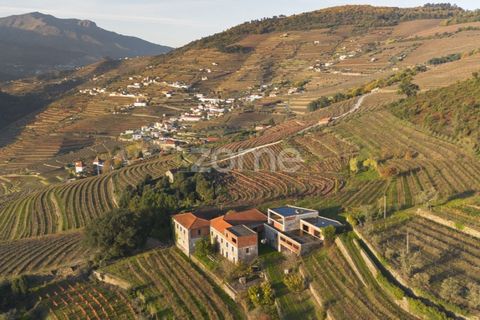 Farm i Vila Real, Vila Real, Vila Real - € 1.553.500 | Ref: ZMPT584068 - foto 9