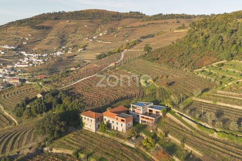 Farm i Vila Real, Vila Real, Vila Real - € 1.553.500 | Ref: ZMPT584068 - foto 10