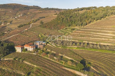 Farm i Vila Real, Vila Real, Vila Real - € 1.553.500 | Ref: ZMPT584068 - foto 11