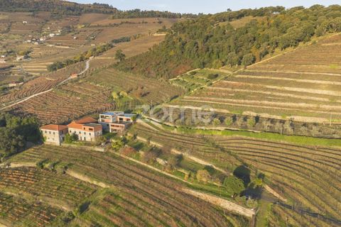 Farm i Vila Real, Vila Real, Vila Real - € 1.553.500 | Ref: ZMPT584068 - foto 12