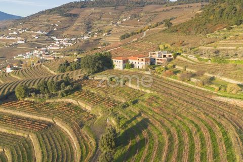 Farm i Vila Real, Vila Real, Vila Real - € 1.553.500 | Ref: ZMPT584068 - foto 13