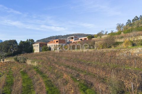 Farm i Vila Real, Vila Real, Vila Real - € 1.553.500 | Ref: ZMPT584068 - foto 14