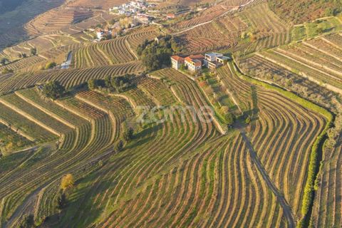 Farm i Vila Real, Vila Real, Vila Real - € 1.553.500 | Ref: ZMPT584068 - foto 15