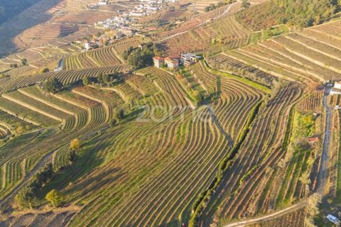 Farm i Vila Real, Vila Real, Vila Real - € 1.553.500 | Ref: ZMPT584068 - foto 16