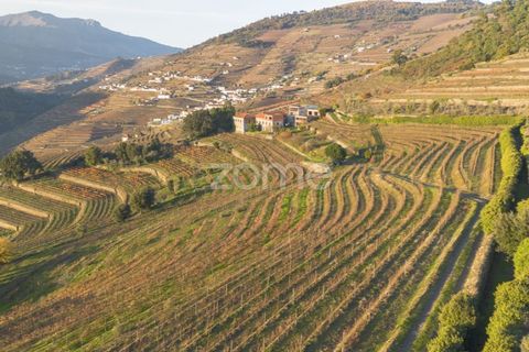 Farm i Vila Real, Vila Real, Vila Real - € 1.553.500 | Ref: ZMPT584068 - foto 17