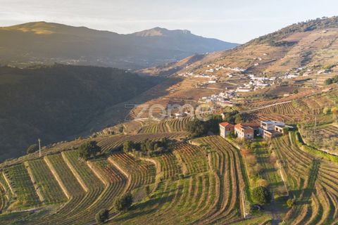 Farm i Vila Real, Vila Real, Vila Real - € 1.553.500 | Ref: ZMPT584068 - foto 18