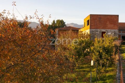 Farm i Vila Real, Vila Real, Vila Real - € 1.553.500 | Ref: ZMPT584068 - foto 22