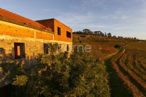Farm i Vila Real, Vila Real, Vila Real - € 1.553.500 | Ref: ZMPT584068 - foto 27