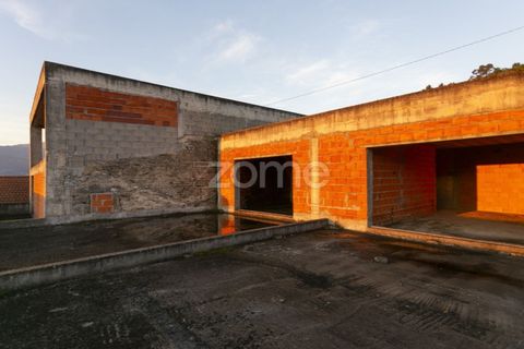 Farm i Vila Real, Vila Real, Vila Real - € 1.553.500 | Ref: ZMPT584068 - foto 36