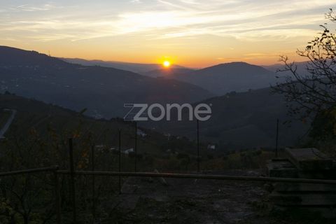 Farm i Vila Real, Vila Real, Vila Real - € 1.553.500 | Ref: ZMPT584068 - foto 38