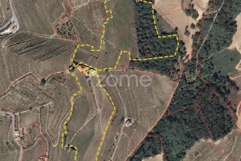Farm i Vila Real, Vila Real, Vila Real - € 1.553.500 | Ref: ZMPT584068 - foto 39