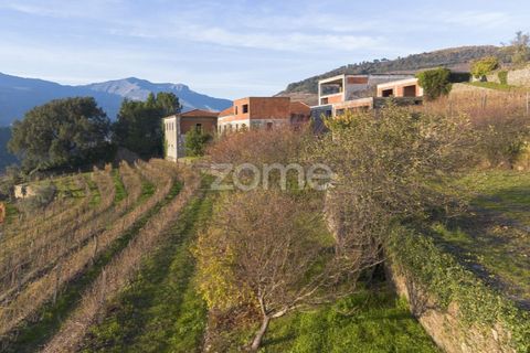 Farm i Vila Real, Vila Real, Vila Real - € 1.553.500 | Ref: ZMPT584068 - foto 7