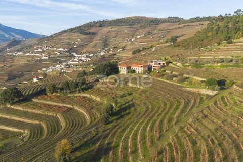 Farm i Vila Real, Vila Real, Vila Real - € 1.553.500 | Ref: ZMPT584068 - foto 5