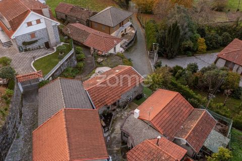 Villa i Fafe, Braga, Fafe - € 130.000 | Ref: ZMPT583826 - foto 36