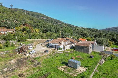 Farm i Monchique, Faro, Monchique - € 350.000 | Ref: DHA0139 - foto 4