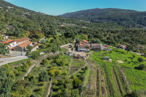 Farm i Monchique, Faro, Monchique - € 350.000 | Ref: DHA0139 - foto 14