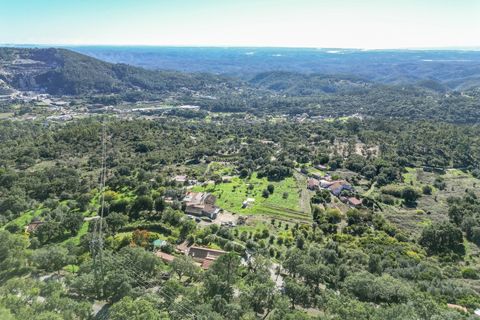 Farm i Monchique, Faro, Monchique - € 350.000 | Ref: DHA0139 - foto 18