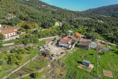 Farm i Monchique, Faro, Monchique - € 350.000 | Ref: DHA0139 - foto 19