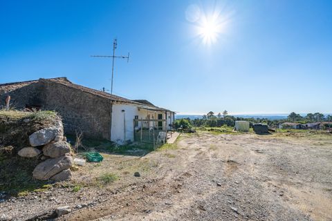 Farm i Monchique, Faro, Monchique - € 350.000 | Ref: DHA0139 - foto 6