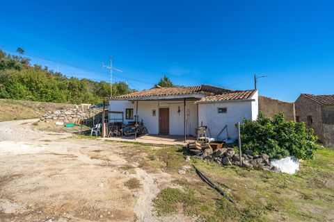 Farm i Monchique, Faro, Monchique - € 350.000 | Ref: DHA0139 - foto 3