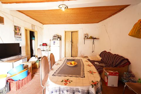 Farm i Monchique, Faro, Monchique - € 350.000 | Ref: DHA0139 - foto 5