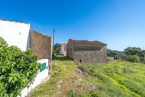 Farm i Monchique, Faro, Monchique - € 350.000 | Ref: DHA0139 - foto 24